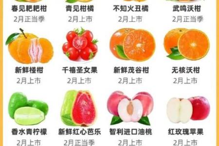 从A到Z的水果名字，一网打尽
