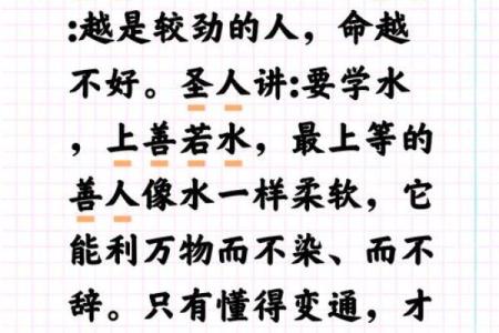 八极子命的概念与解析：揭开命理学中的神秘面纱