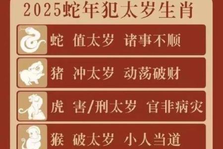 本命年蛇男如何在压力中找到突破口