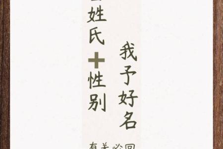 霸气奶妈名字推荐 塑造独特魅力