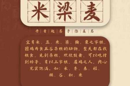 鸡宝宝女孩起名指南：取个寓意美好的名字