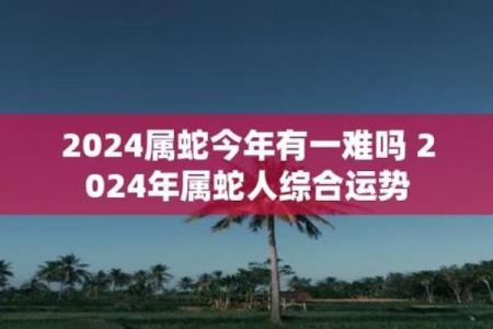 属蛇的命运起伏：每月运程的变化与应对策略