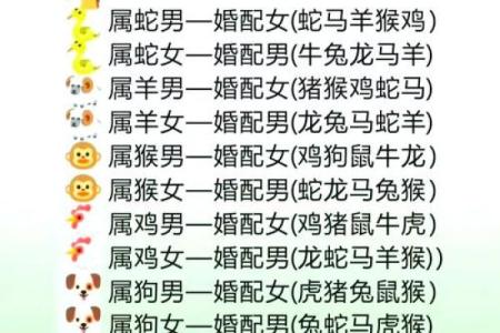 属龙与属马的性格契合度揭秘