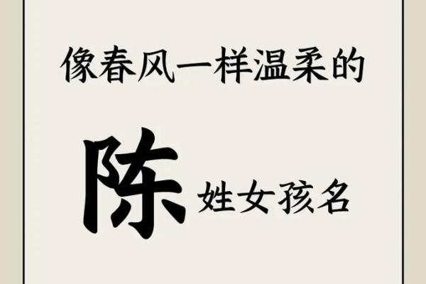 陈姓宝宝起名指南：如何选择既有寓意又独特的名字