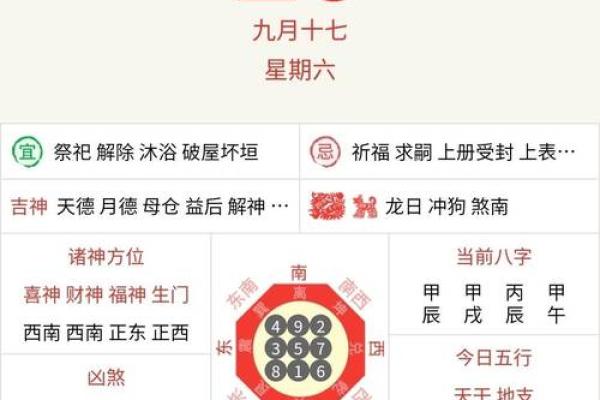 各生肖运势详解与预测 各生肖运势详解与预测