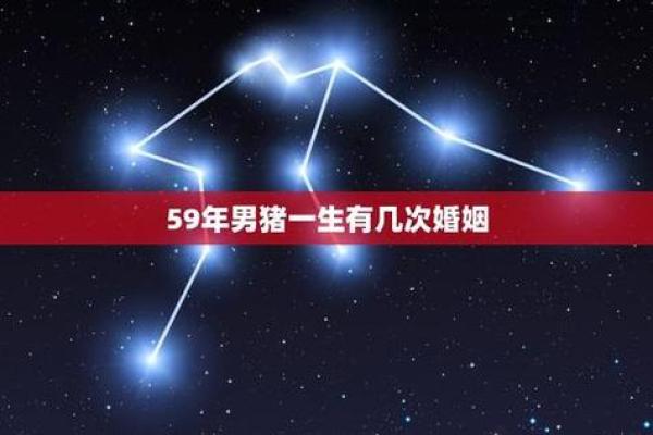 属猪人在爱情与健康方面的运势预测 属猪人在爱情与健康方面的运势预测