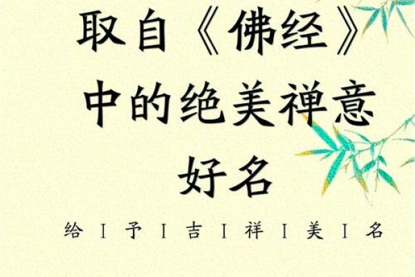 澈：寓意深远的名字，象征着清澈与智慧的力量