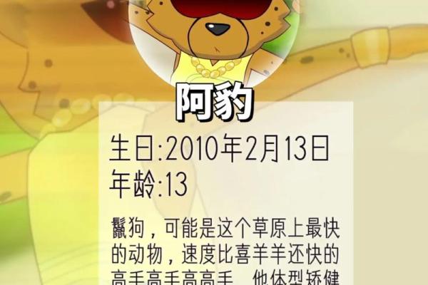 男虎与女羊的爱情故事：克服挑战还是和谐美满