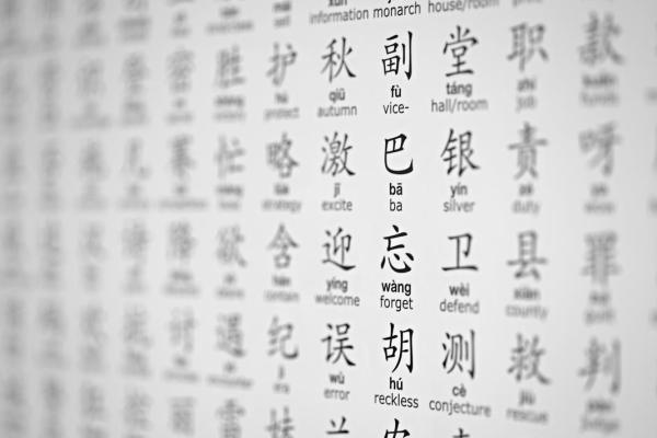 百家名字的文化传承与独特魅力