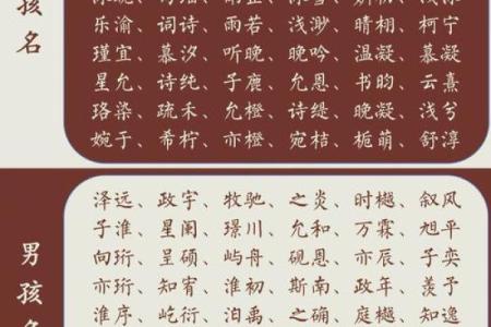 宝宝名字选择指南：从传统到现代的命名趋势