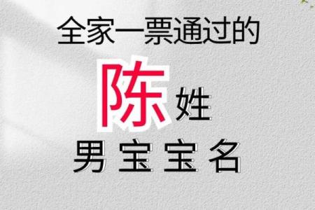陈姓宝宝起名指南：如何选择既有寓意又独特的名字