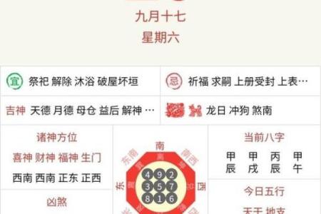 各生肖运势详解与预测