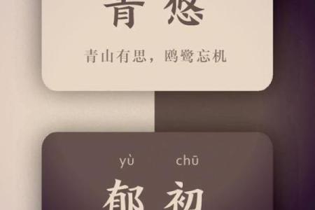 传统与现代的结合：给妹子取名字的灵感来源