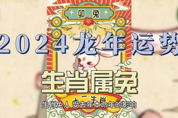 属兔人的运势解析及未来发展趋势 属兔人的运势解析及未来发展趋势