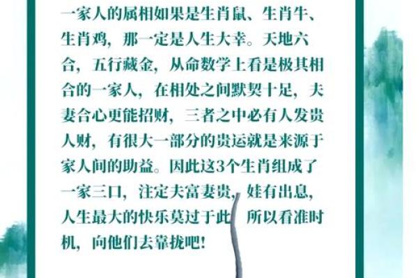 本命年属鼠如何化解外界的负能量 本命年属鼠如何化解外界的负能量