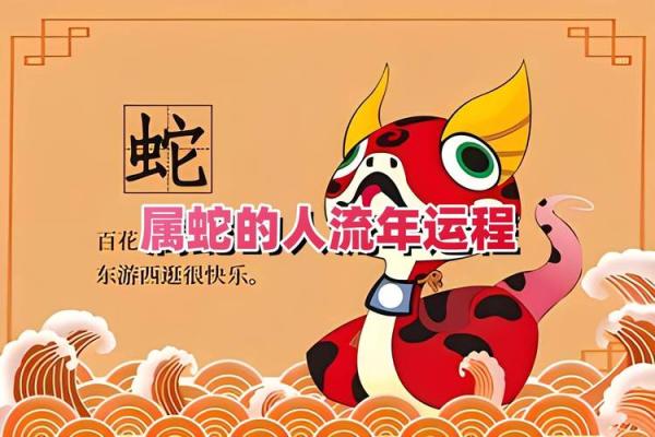 细看蛇人各月运势变化与建议 细看蛇人各月运势变化与建议