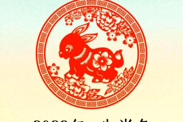 属兔人运势全面预测 属兔人运势全面预测