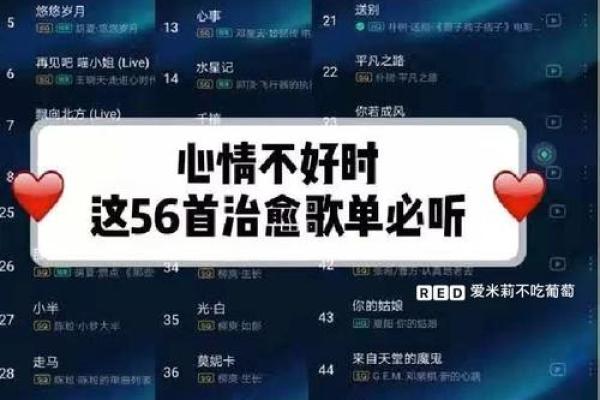 创意无限的歌单名称集锦