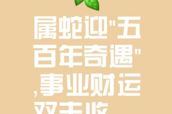 本命年蛇女如何找到事业新机遇 本命年蛇女如何找到事业新机遇