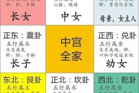 属马的每月运势如何