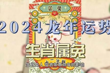属兔人的运势解析及未来发展趋势