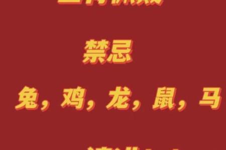 本命年羊女如何找到适合自己的生活节奏