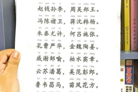 百家姓中的经典名字及其寓意