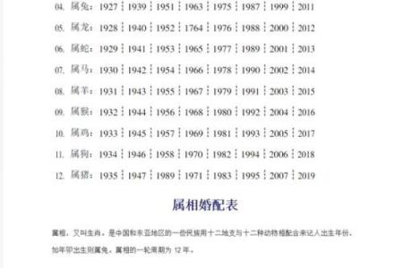 属虎还是属兔？带你了解生肖与年份的关系