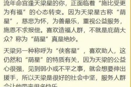 属虎人全年运程预测：事业与感情的风云变化