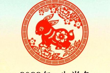 属兔人运势全面预测