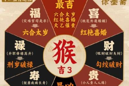猴与哪些生肖配对最好，命理专家为你解析