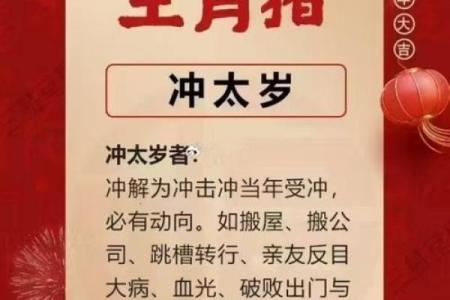 属虎与属蛇的爱情运势 真的合适吗