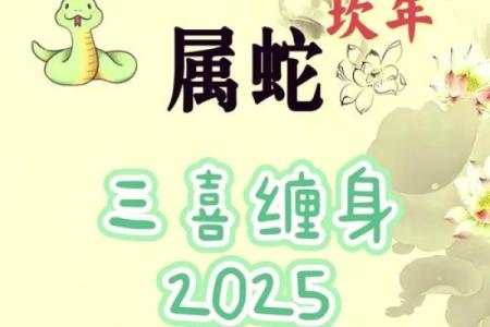 本命年属猴人应避免的五大陷阱