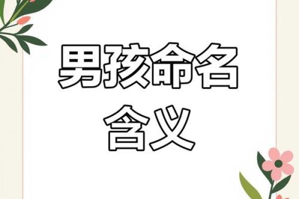从简到繁：名字背后的故事与寓意