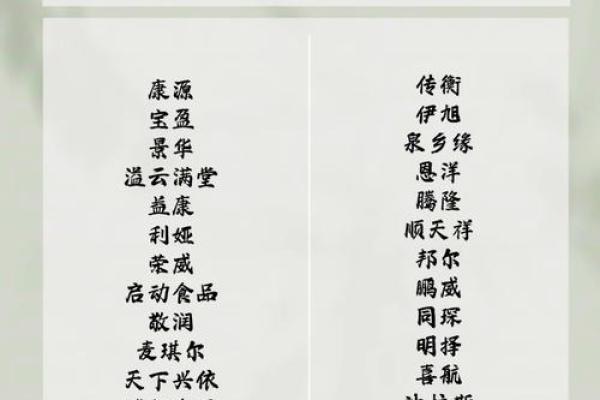 从创意到吸引力，解析好网名字的重要性