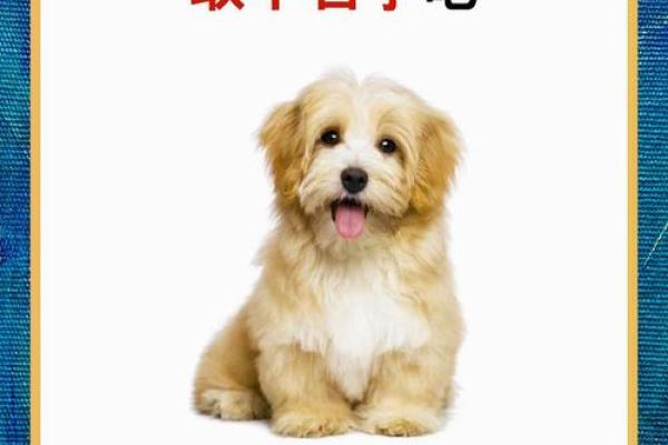 霸气十足的狗狗名字推荐,助你为爱犬取个霸气称号 霸气十足的狗狗名字推荐,助你为爱犬取个霸气称号