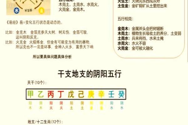 成字的五行属性与命理解析