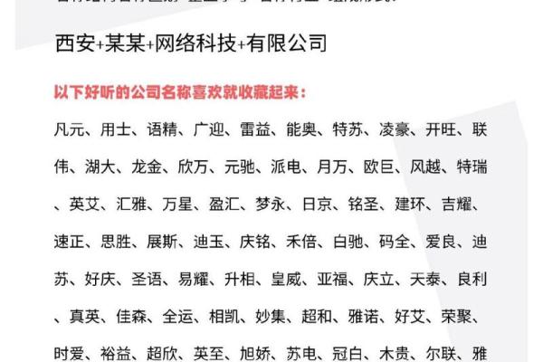 如何通过公司起名网打分测试找到完美企业名称
