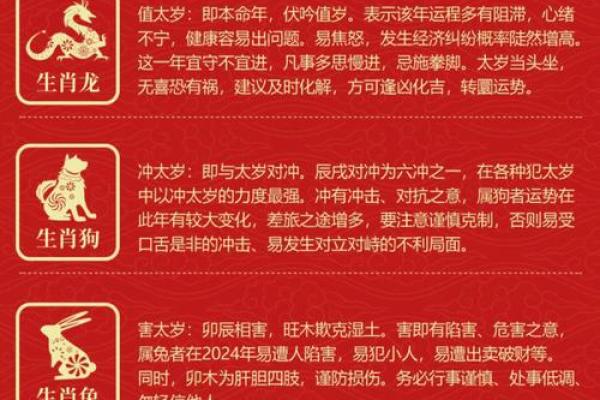 人财运与健康运势趋势预测