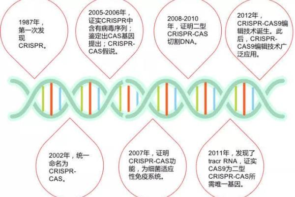 成功生物科技公司名称的背后故事与灵感来源 成功生物科技公司名称的背后故事与灵感来源