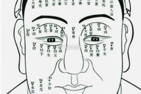 从脸型看出男性的富贵命运