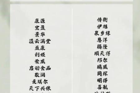从创意到吸引力，解析好网名字的重要性