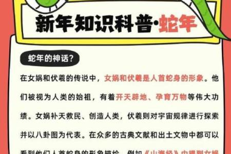 蛇女本命年如何调整情感方向