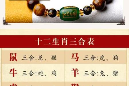 本命年属鼠如何实现职业与家庭平衡