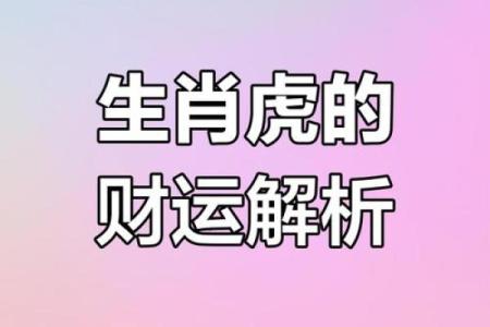 属虎的整体运势分析与未来发展