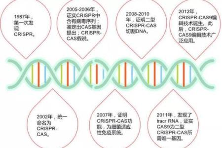 成功生物科技公司名称的背后故事与灵感来源