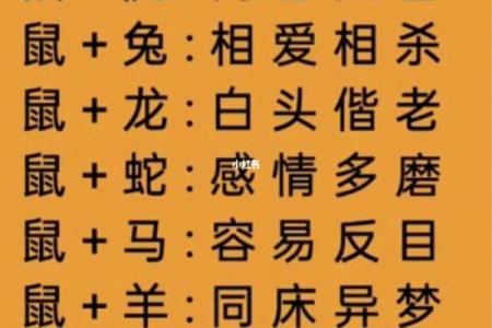 从性格到命运，探讨女鼠男虎的婚姻匹配度