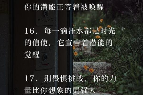 霸气四字名字激发无限潜力