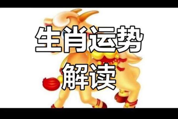 揭秘生肖运程的幸运与挑战