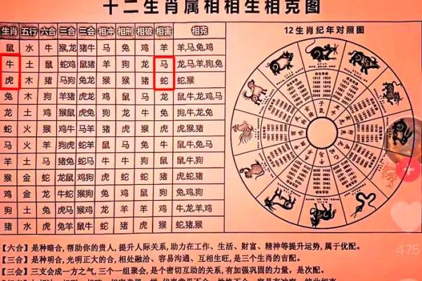 属虎与属牛的配对是否和谐？深度解析二者性格与婚姻关系